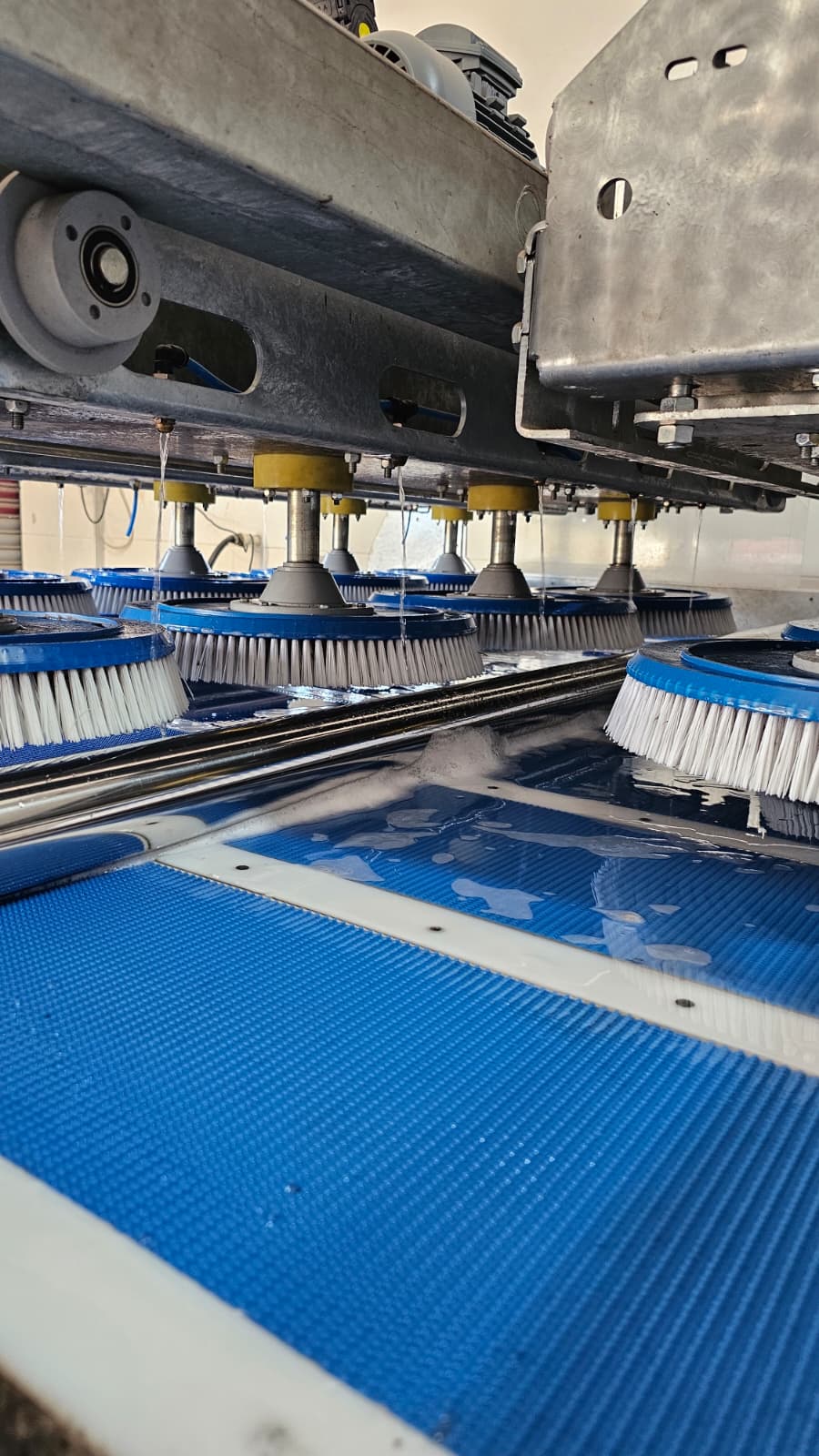 adana halı yıkama firmaları