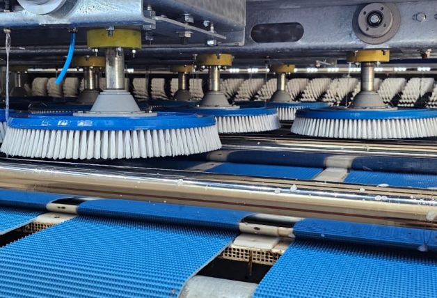 çukurova halı yıkama firması