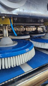 en yakın halı yıkama firmaları