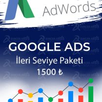 Google Reklam İleri Seviye Paket