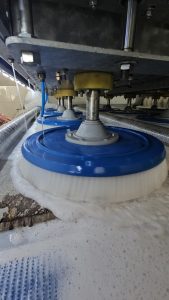 güzel yalı halı yıkama